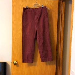 NWT Incotex Cropped Trousers 26 Dusty Red